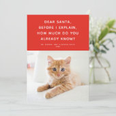 Dear Santa Cute Funny Pet Holiday Photo Card (Standing Front)