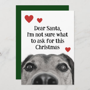 Dear Santa Cute Puppy Christmas Green Funny Holiday Card