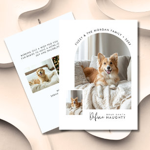 Dear Santa Define Naughty Dog Christmas Arch Photo Holiday Card