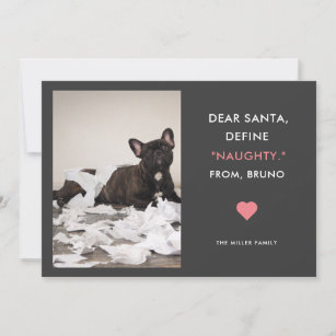 Dear Santa Define Naughty Funny Pet Photo Holiday Card