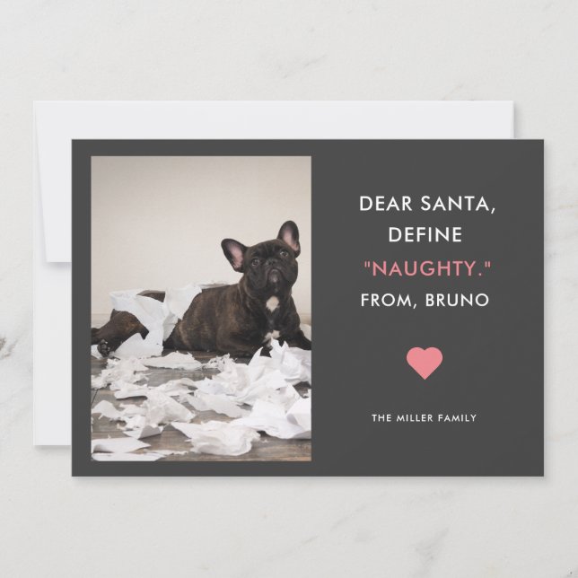 Dear Santa Define Naughty Funny Pet Photo Holiday Card (Front)