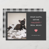 Dear Santa Define Naughty Funny Pet Photo Holiday Card (Front/Back)