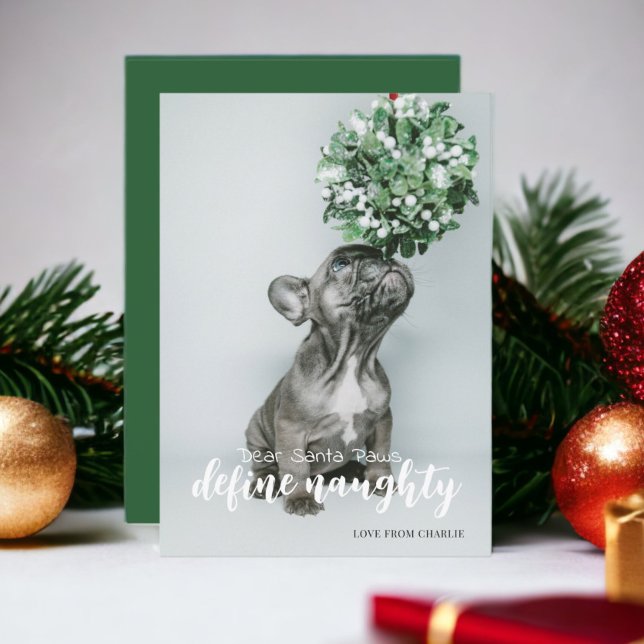 Dear Santa Define Naughty Typography Photo Holiday Card (Dear Santa Paws Define Naughty Typography Photo Holiday Card from Ricaso. dog or cat themed cards)