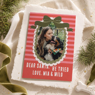 Dear Santa He Tried Funny Dog Christmas Photo Holiday Card