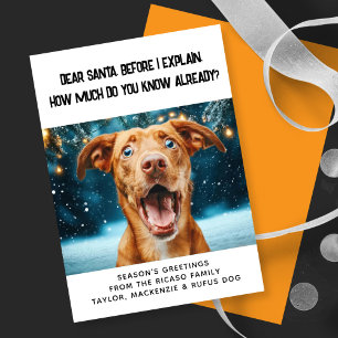Dear Santa How Much Do You Know Already? Christmas Holiday Card