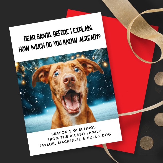 Dear Santa How Much Do You Know Already? Christmas Holiday Card (Dear Santa How Much Do You Know Already? Christmas Holiday Card by Ricaso. Personalized with photo
)