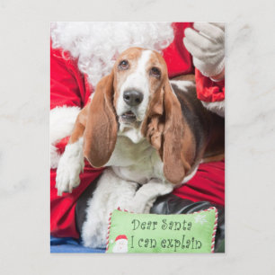 Dear Santa I can Explain Basset Hound Holiday Postcard
