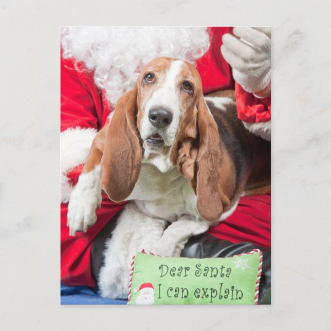 Dear Santa I can Explain Basset Hound Holiday Postcard (Front)