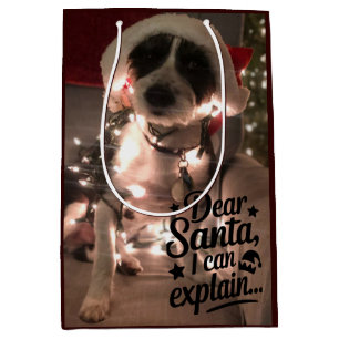 Dear Santa I can explain (dog) Medium Gift Bag
