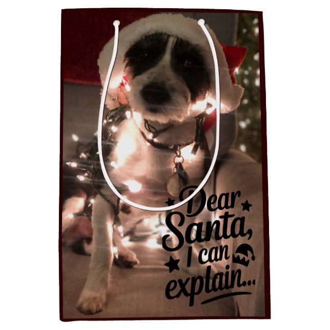 Dear Santa I can explain (dog) Medium Gift Bag (Front)