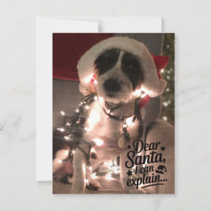 Dear Santa I can explain (dog) Postcard