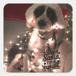 Dear Santa I can explain (dog) Square Sticker