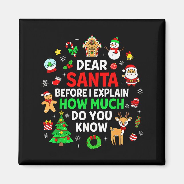 Dear Santa I Can Explain Funny Christmas Matching  Magnet (Front)