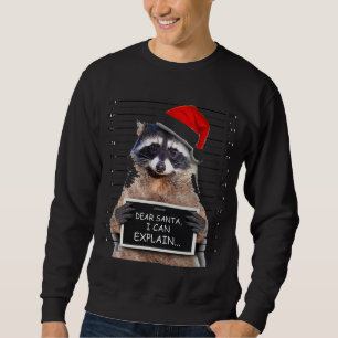 Dear Santa I Can Explain Funny Christmas Racoon Sweatshirt