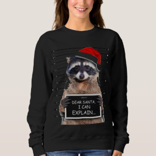 Dear Santa I Can Explain Funny Christmas Racoon Sweatshirt