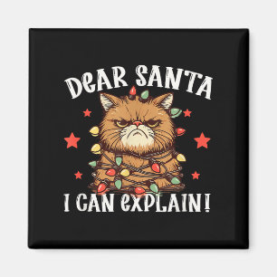 Dear Santa I Can Explain The Cat Did It Funny Chri Magnet