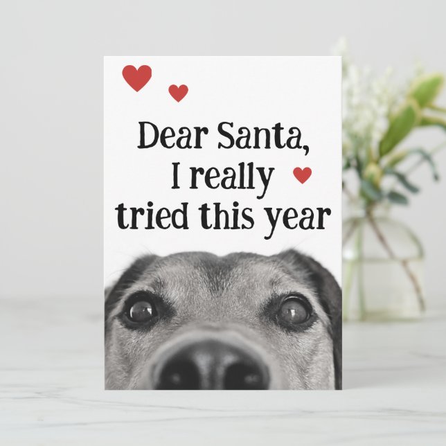 Dear Santa I Really Tried This Year Holiday Card (Standing Front)