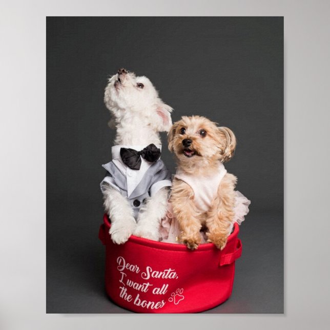 DEAR SANTA, I WANT ALL THE BONES  POSTER (Front)