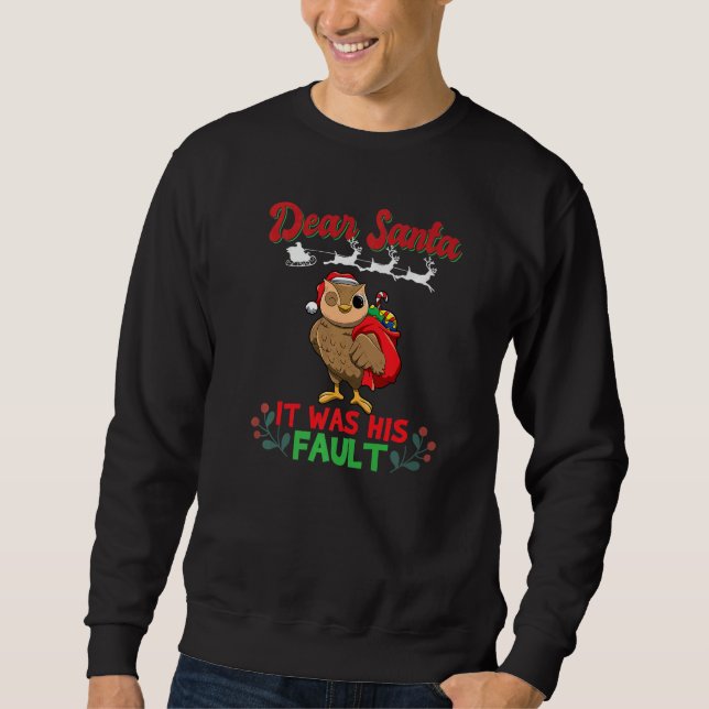 Dear Santa It Was His Fault Siblings Matching Xmas Sweatshirt (Front)