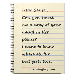 DEAR SANTA LETTER from a naughty boy Notebook