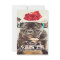Dear Santa We Can Explain Holidays Photo Cards