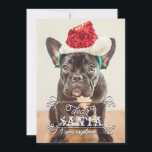 Dear Santa We Can Explain Holidays Photo Cards<br><div class="desc">Funny Christmas photo cards featuring your favourite photo. It reads "Dear Santa, I can explain... ". You can modify the text if you prefer to say "we can explain". Personalise it with your name, pet name or family name on the backside. You can customise the colour on the background. Illustrated...</div>