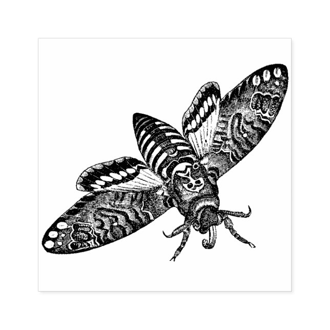 Death’s Head Hawk Moth  rubber stamp (Imprint)