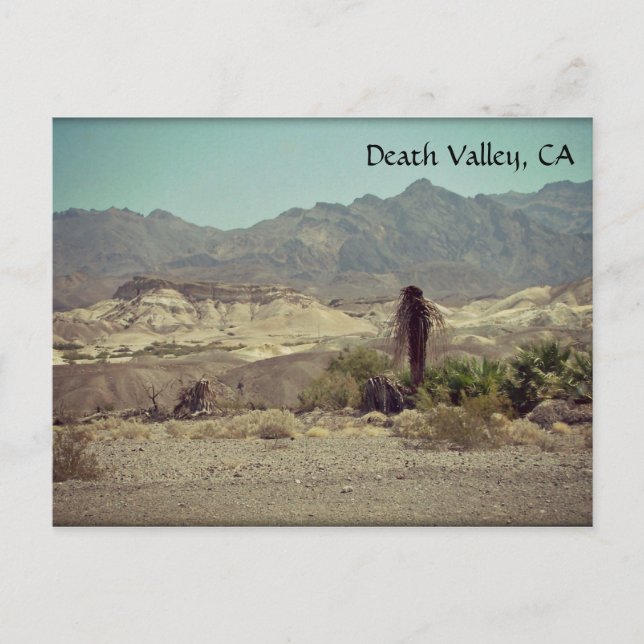 Death Valley, CA Postcard (Front)