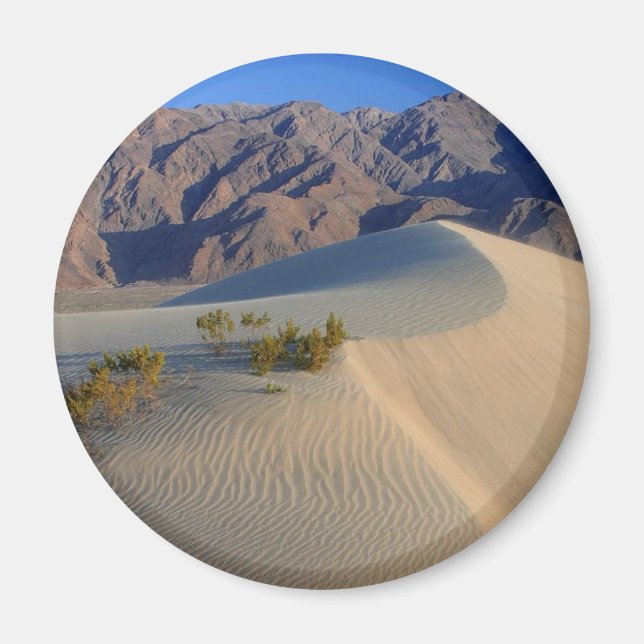 Death Valley California Magnet (Front)