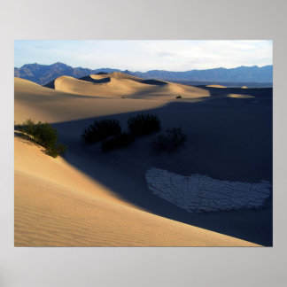 Death Valley Dunes in the Morning Poster