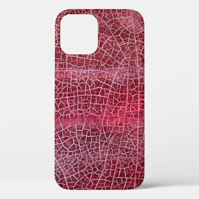Death valley national park Case-Mate iPhone case (Back)