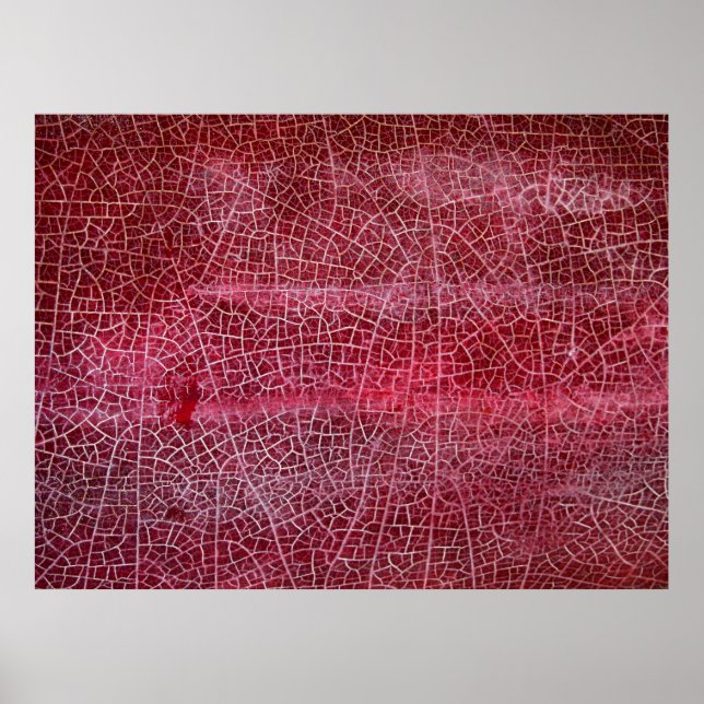 Death valley national park poster (Front)