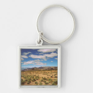 Death Valley Roadtrip Photo Key Ring