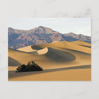 Death Valley Sand Dunes... Postcard