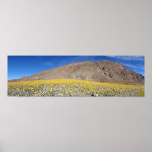 Death Valley Super-bloom Poster