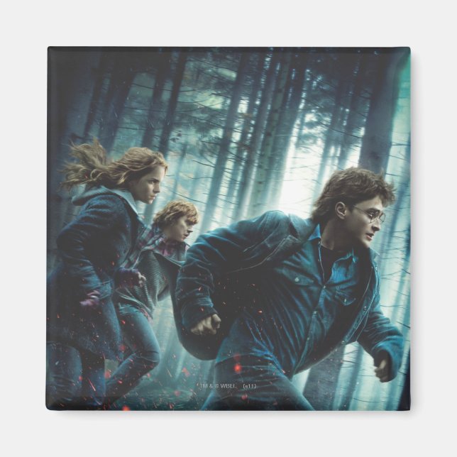 Deathly Hallows - Group Running 2 Magnet (Front)