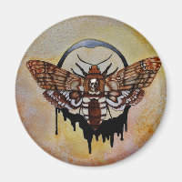 Death's Head Hawk Moth