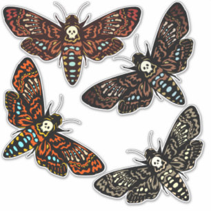 Death's Head Hawkmoth Skull Thorax 4 Variations