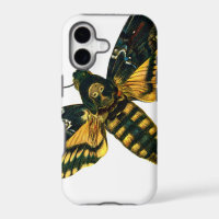 Death's Head Moth