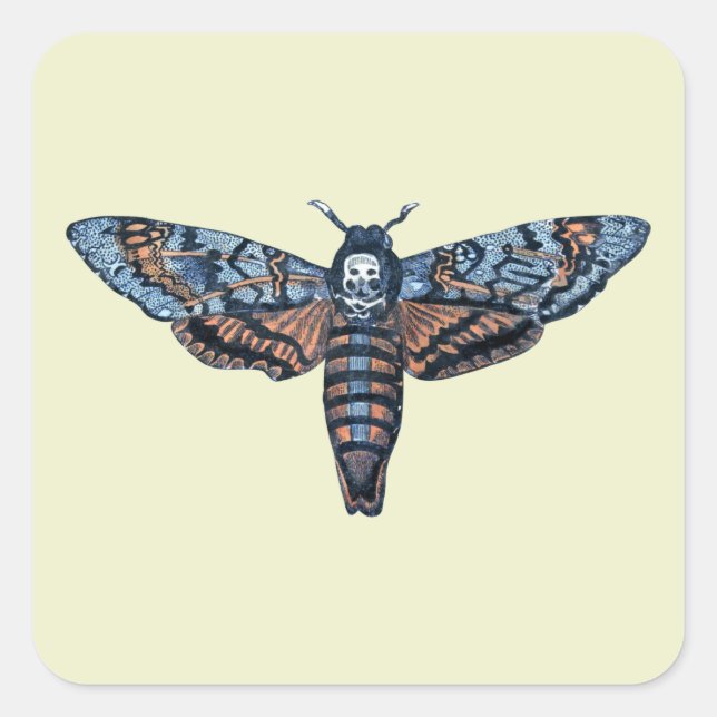 Death's Head Moth, aka Sphinx atropo moth Square Sticker (Front)