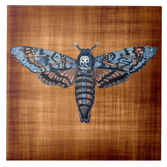 Death's Head Moth, aka Sphinx atropo moth Tile (Front)
