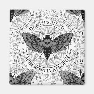 deaths head moth magnet