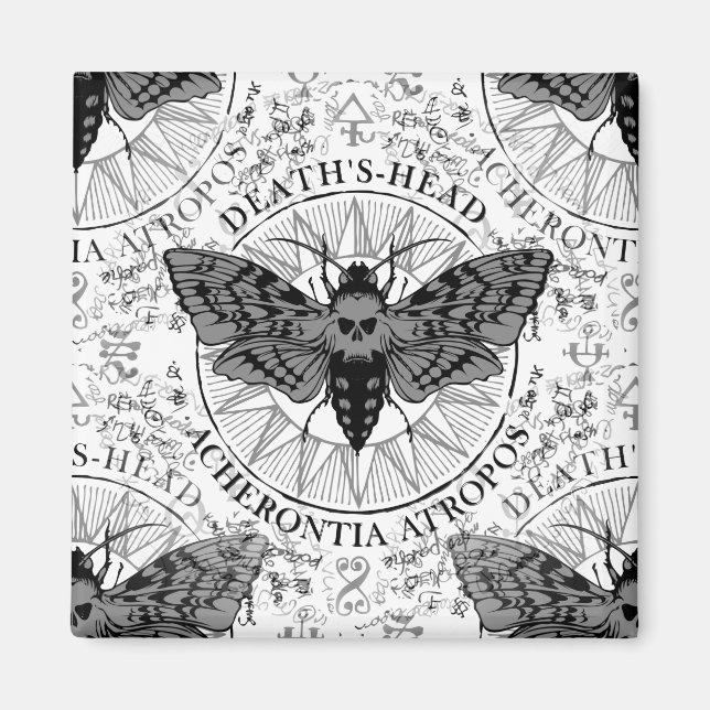 deaths head moth magnet (Front)