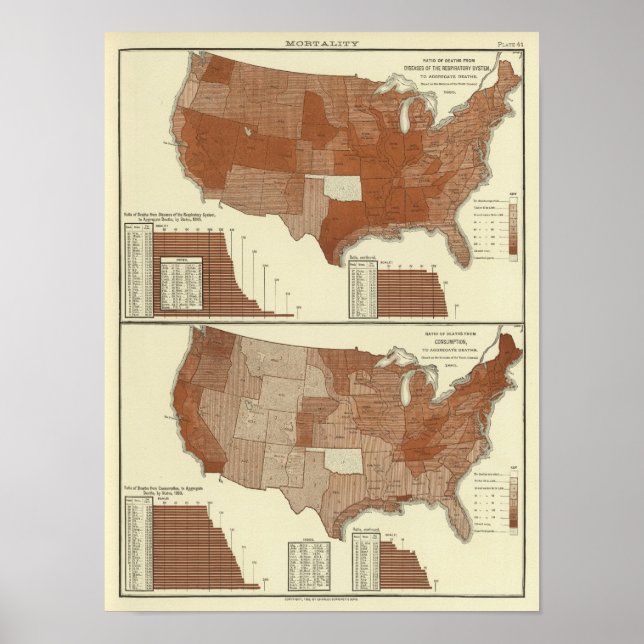 Deaths, respiratory system, consumption poster (Front)
