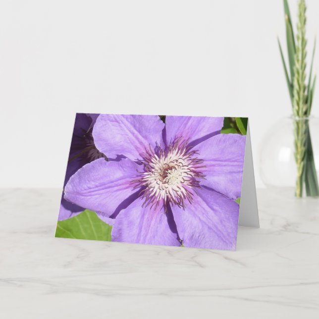 Debbie's Clematis Greeting Card (Front)