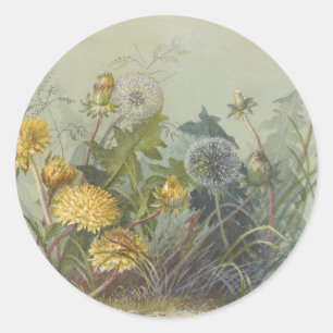 Deborah Griscom Passmore Watercolor Album Pl.60 Classic Round Sticker