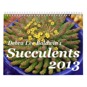 Debra Lee Baldwin's Succulents 2013 Calendar