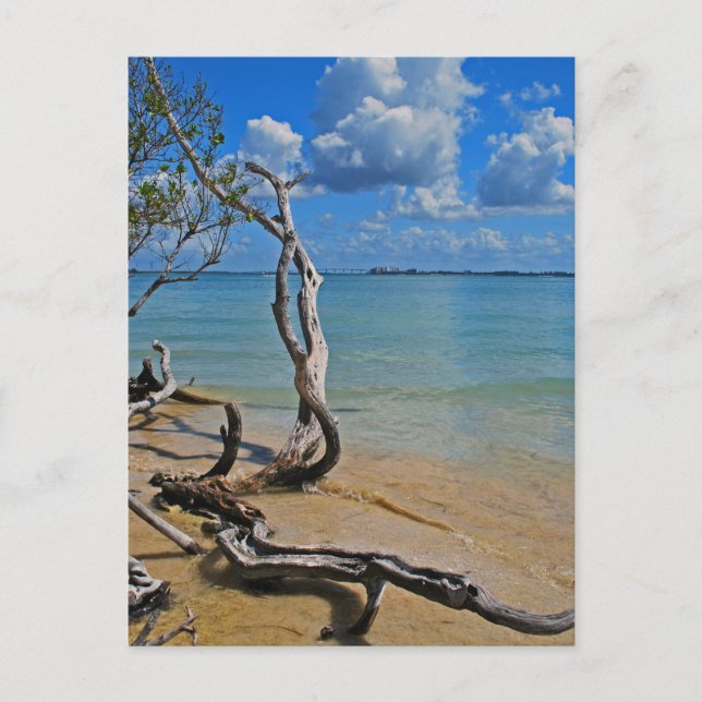 Debris to Blind Pass Postcard (Front)