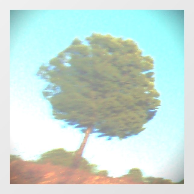 DECAL WINDOW CLING   (Sheet)