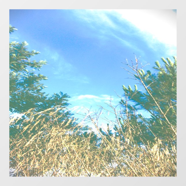 DECAL WINDOW CLING   (Sheet)